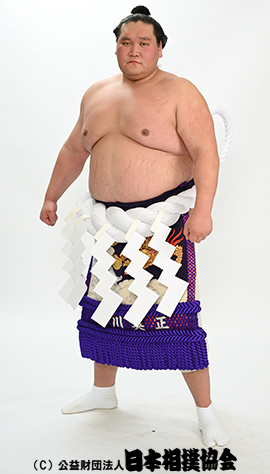 照ノ富士プロフィール画像